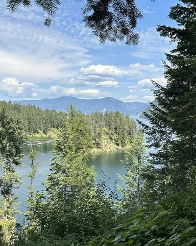 Forest clearing with view of calm lake, evergreen trees, and distant mountains under blue sky